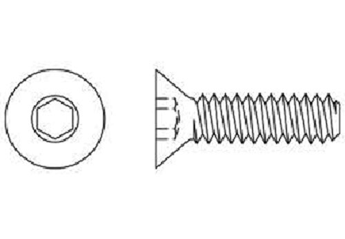 socket head cap screws